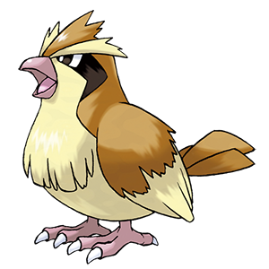 Pidgey
