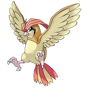 Pidgeotto