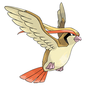 Pidgeot