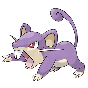 Rattata