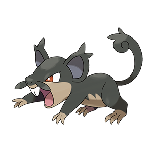 Rattata