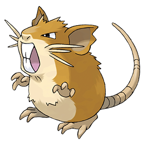 Raticate