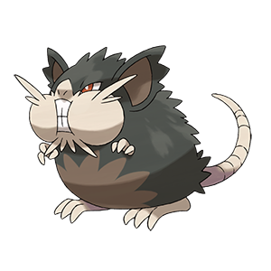 Raticate