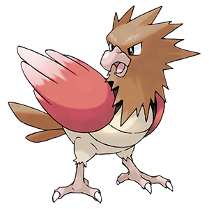 Spearow