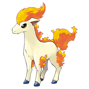 Ponyta