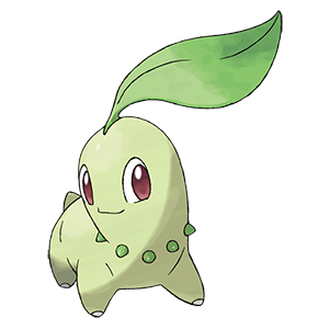 Chikorita