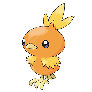 Torchic