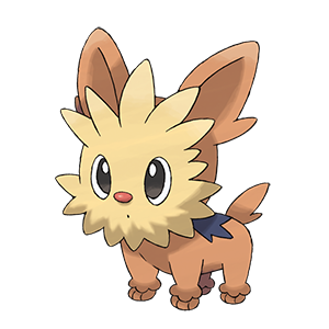 Lillipup