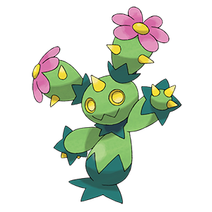 Maractus