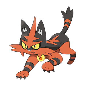 Torracat